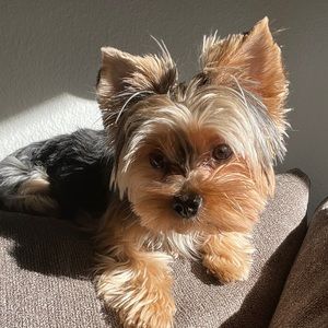 Meet your Posher, Christine